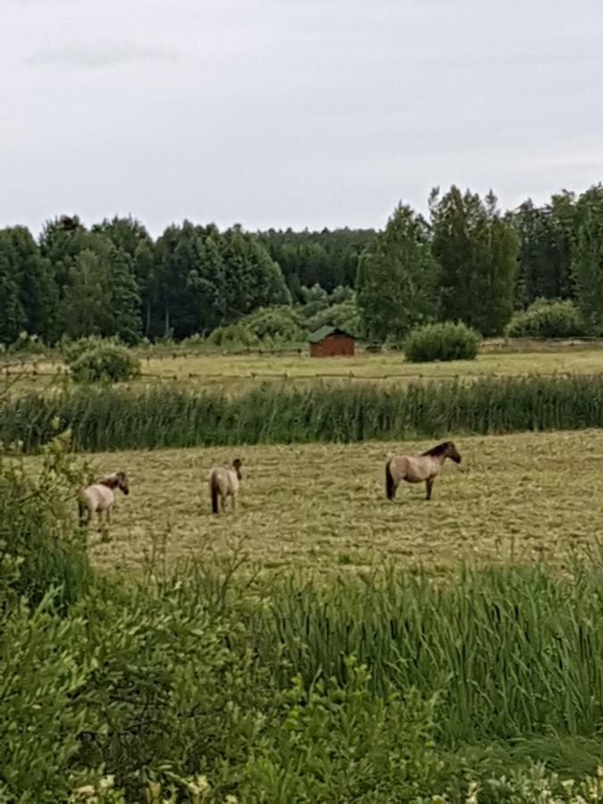 Apartamenty Białowieża Dış mekan fotoğraf